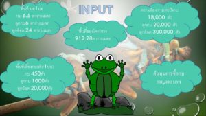 กบบบบบบบบ-frog-cover